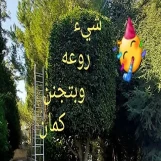  تصميم وتنفيذ حدائق الكويت شركة تصميم و تنفيذة حدائق في الكويت