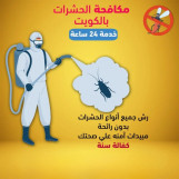 التخلص من الحشرات من خلال مكافحة القوارض  في الكويت.