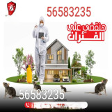 مكافحه حشرات في الكويت خصم خاص لفترة محدودة 30%