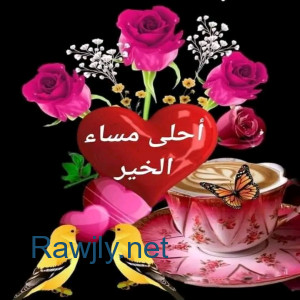 ابحث عن فرصه عمل ............؟......................................................