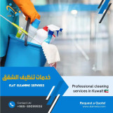 شركة الاميكا للتنظيف