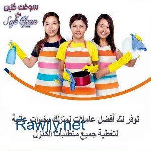 لانك ملكة بيتك و بتحبي تخلي بيتك نظيف طول الوقت نحنا بخدمتك بأفضل عاملات بخبرة   