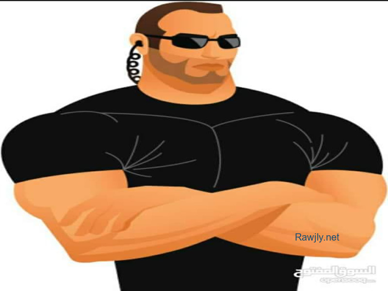 Hessuin Elmalegy