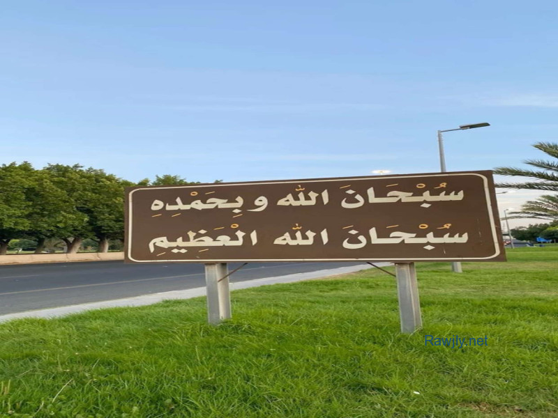دكتور اشرف هندسة طبيه في العلاجات والأجهزة الطبيه 